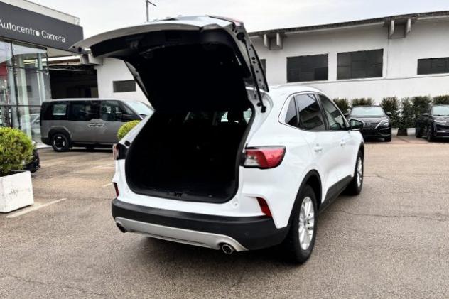 FORD Kuga 1.5 EcoBlue 120 CV 2WD Titanium Business rif. 23684826 - Foto 7