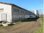 Fabbricati per attività agricole di 1909.3 mq  in vendita a Rombiolo - Rif. &hellip;