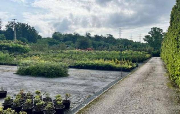 Immobile in asta di 16526 m² in vendita a Robecchetto con Induno - Foto 3