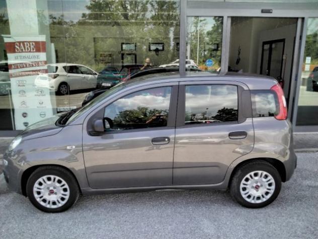 FIAT Panda 1.0 FireFly S&S Hybrid rif. 23905172 - Foto 8