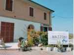 Immobile Commerciale - Rif. 63511