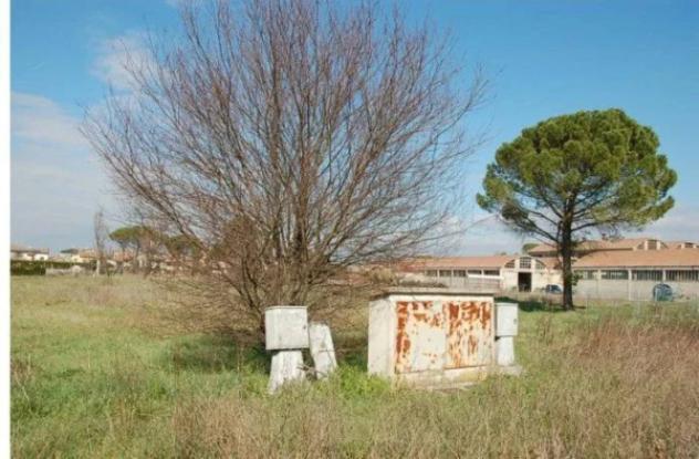 Immobile in asta di 6635 m² in vendita a Cannara - Foto 10