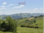 Podere immerso nelle colline di Castrocaro Terme