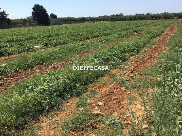 V2499 - In vendita a Trapani terreno agricolo