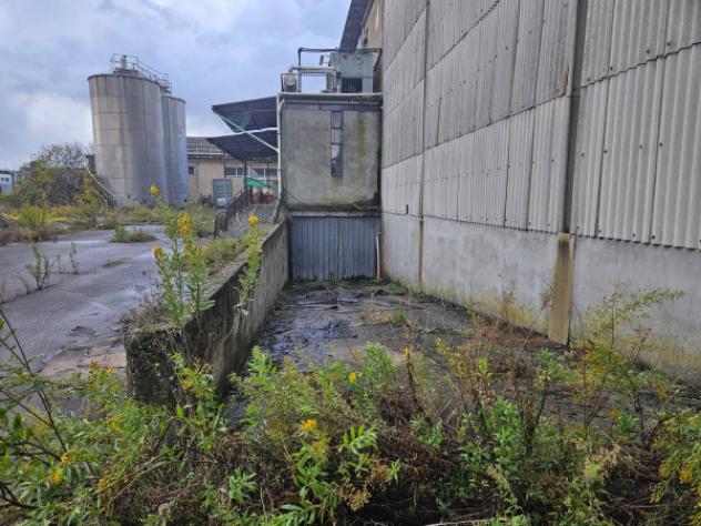 Immobile in asta di 7600 m² in vendita a Crespina e Lorenzana - Foto 7