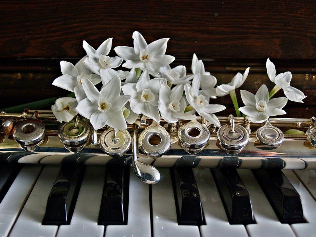 Flautista e pianista