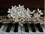 Flautista e pianista