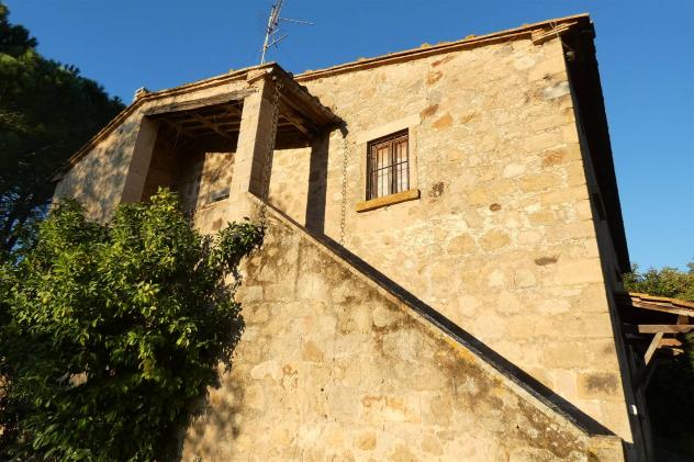 Rustico casale in Vendita in zona MONTEMASSI con giardino - Foto 11