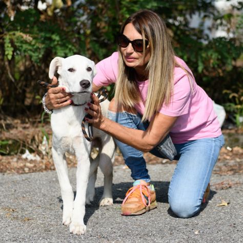 DONATO, 6 MESI E MEZZO (20/03/26), TAGLIA MEDIO/GRANDE, CERCA CASA . - Foto 5