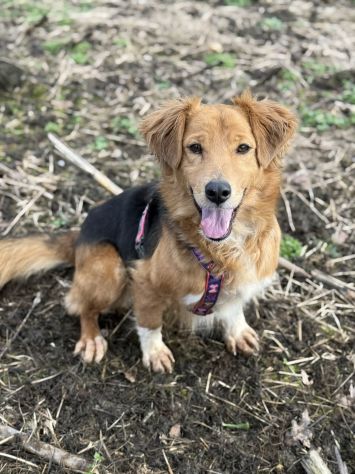MINDY, dolcissima e super affettuosa!