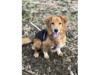 MINDY, dolcissima e super affettuosa!