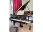 Pianoforte Yamaha C3 L seminuovo con trasporto e panca inclusi