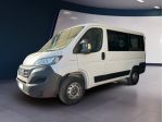 FIAT Ducato PANORAMA