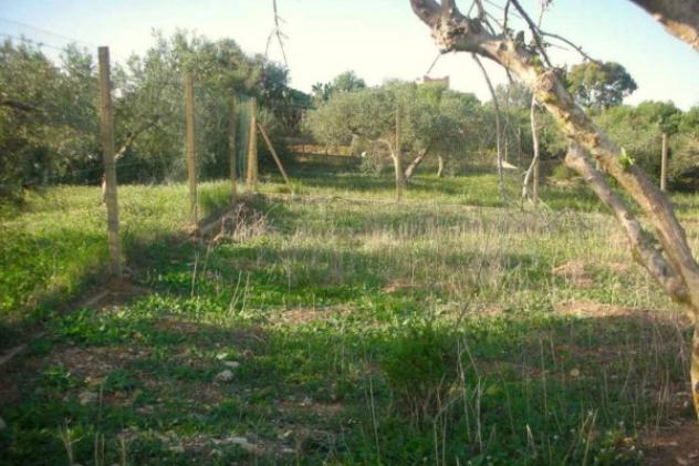 Immobile in asta di 9960 m² in vendita a Marsala - Foto 6