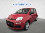 FIAT New Panda Pandina 1.0 FireFly 65 CV Hybrid Icon rif. 24056231