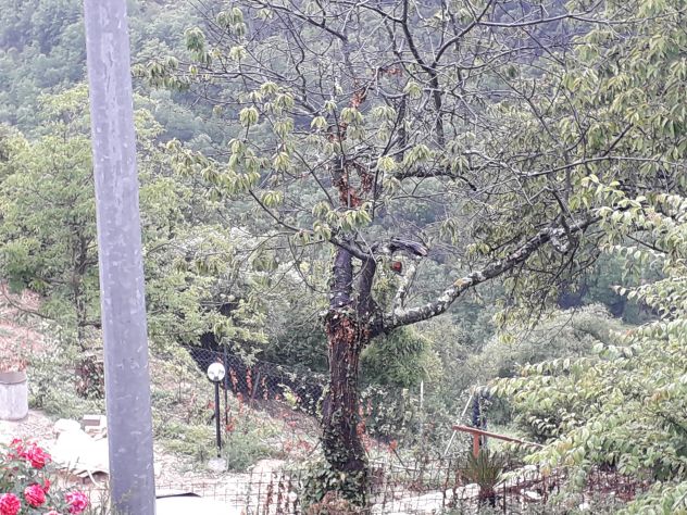 Terreno vicino le sorgenti del Farfa a Frasso Sabino