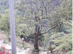 Terreno vicino le sorgenti del Farfa a Frasso Sabino