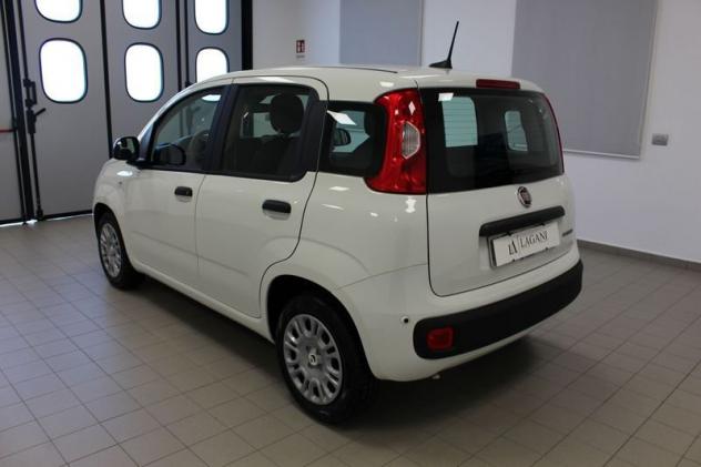 FIAT Panda 1.0 FireFly S&S Hybrid Icon - Foto 5
