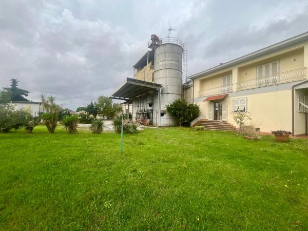 Capannone artigianale in vendita a Massa 650 mq Rif: 1287699 - Foto 5