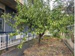 Appartamento in vendita a Belpasso