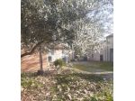 VILLA CON ANNESSI