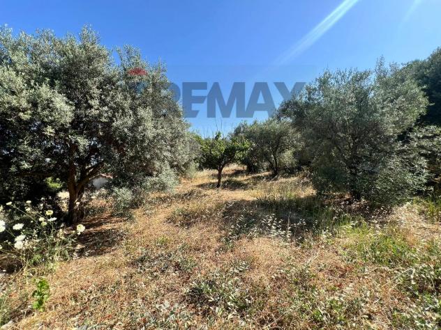 Terreno in vendita a Motta Sant'Anastasia - Foto 13