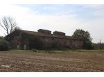 Colonica in vendita a Santa Maria a Monte 1000 mq  Rif: 804937