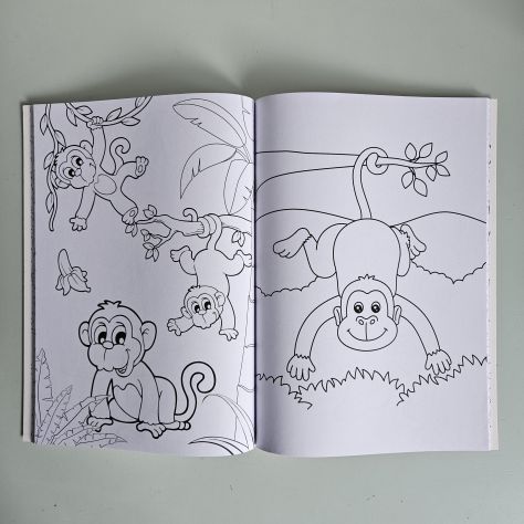 Libro da Colorare, Colouring Book - Giraffa A4 - 2026 - TRACCIATA!! - Foto 3
