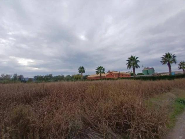 Immobile in asta di 14800 m² in vendita a Civitanova Marche - Foto 9