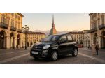 FIAT Panda 1.0  rif. 24206548
