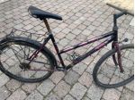 Mountain bike donna