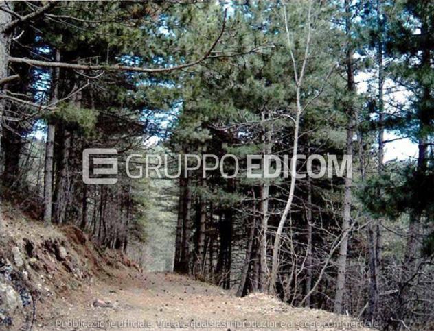 Terreno di 463186 mq in vendita a Acri - Rif. 4554909 - Foto 2