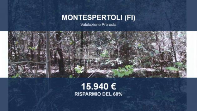 Immobile in asta di 80320 m² in vendita a Montespertoli
