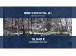 Immobile in asta di 80320 m² in vendita a Montespertoli