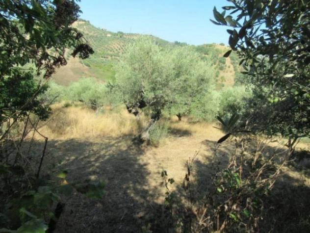 Immobile in asta di 2980 m² in vendita a Moscufo - Foto 3