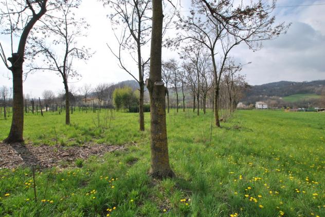 Agricolo in vendita a Cornedo Vicentino