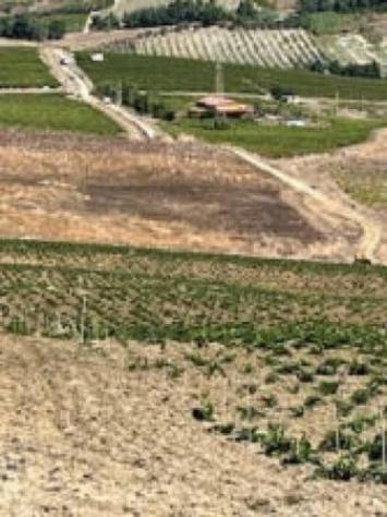 Immobile in asta di 118260 m² in vendita a Monreale - Foto 8