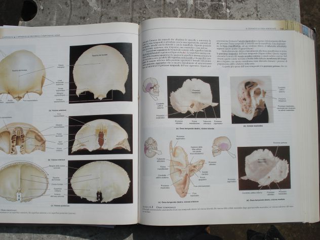 VOLUME DI ANATOMIA UMANA EDITORE EDISES, SCRITTO DA MARTINI,TIMMONS,TALLITSCH - Foto 5