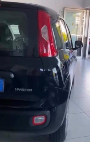 Fiat Panda Pandina 1.0 FireFly 65 CV Hybrid Icon - Foto 6
