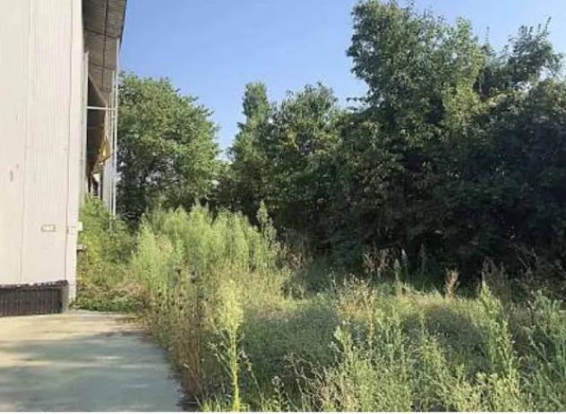 Immobile in asta di 540 m² in vendita a Cittadella - Foto 3