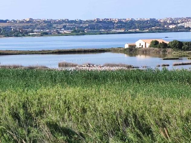 Villa in vendita a Siracusa - Foto 13