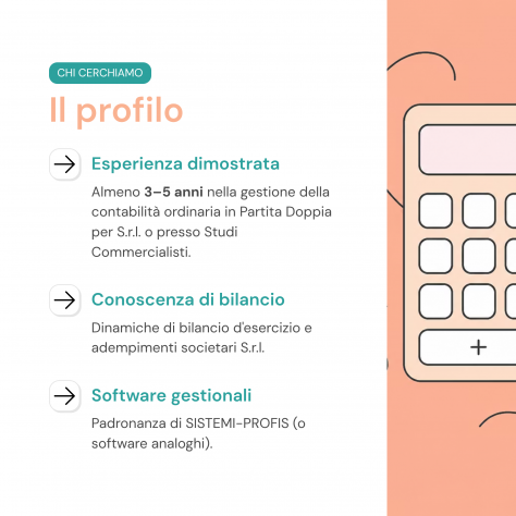 Contabile Mid/Senior - Foto 3