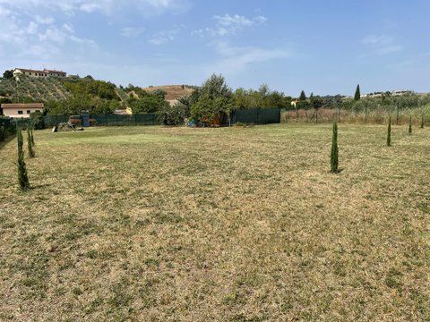Vendesi terreno agricolo - Foto 2