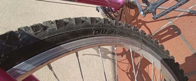 MONTAIN BIKE VICINI DA RAGAZZA 24 Pollici Cambio SHIMANO - Foto 9