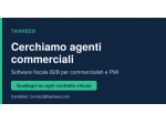 Agente commerciale a provvigione -  Software fiscale B2B (Italia)