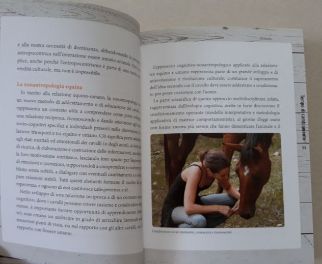 Comprendere il cavallo - Foto 6