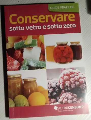 conservare sotto vetro e sotto zero   di Rossella Molaschi