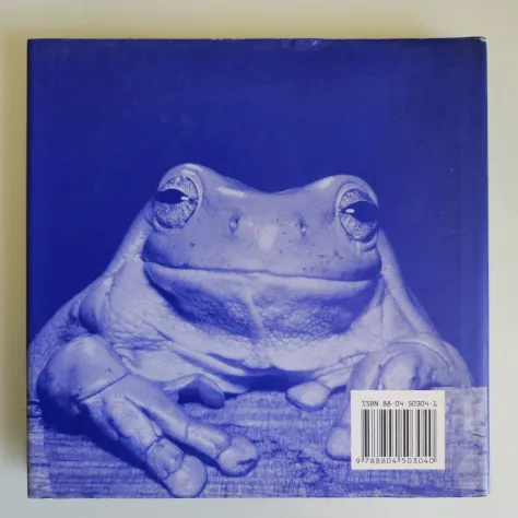 Il Libro Blu delle Coccole - Bradley Greive - Mondadori - 2004 - TRACCIATA! - Foto 9