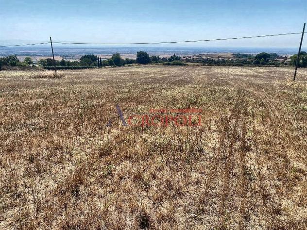 Terreno Agricolo - Rif. 2415 - Foto 16