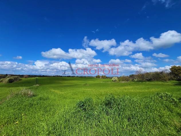 Terreno Agricolo - Rif. 2468 - Foto 2